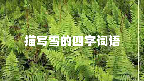 描寫雪的四字詞語