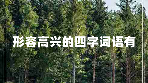 形容高興的四字詞語有