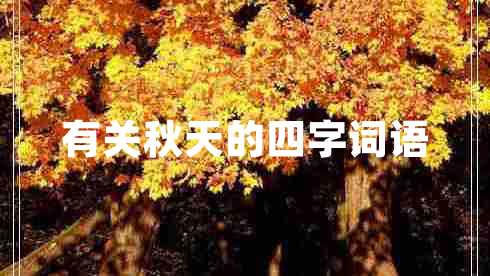 有關(guān)秋天的四字詞語