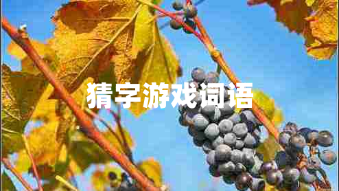 猜字游戲詞語