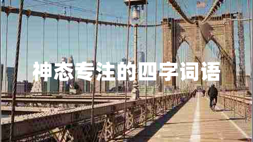 神態(tài)專注的四字詞語