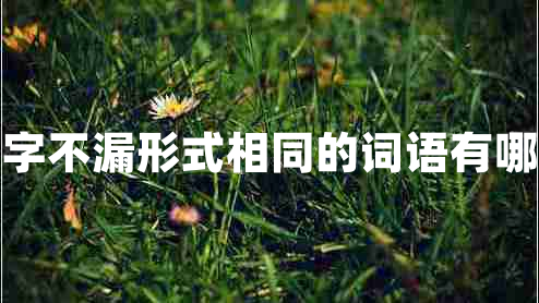 一字不漏形式相同的詞語有哪些 一字不漏形式相同的詞語有哪些
