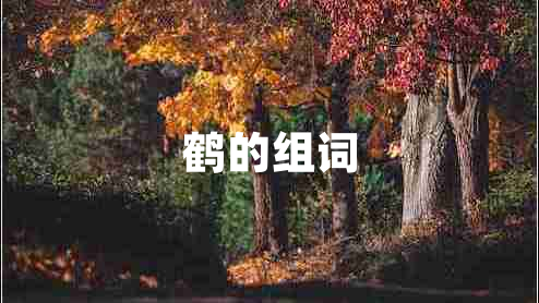 鶴的組詞
