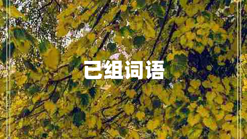 已組詞語(yǔ)