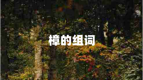 樟的組詞 樟的組詞