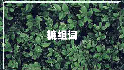 轆組詞