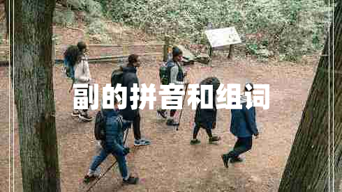 副的拼音和組詞 副的拼音和組詞