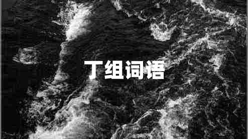 丁組詞語 丁組詞語