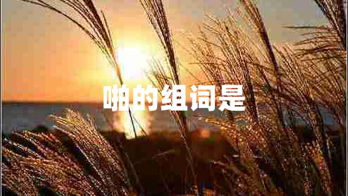 啪的組詞是 啪的組詞是