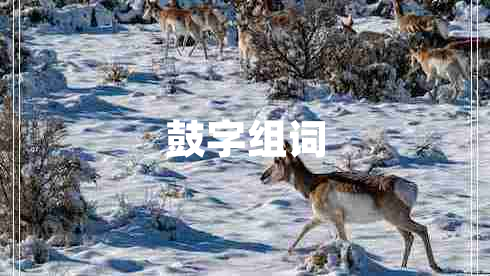 鼓字組詞 鼓字組詞