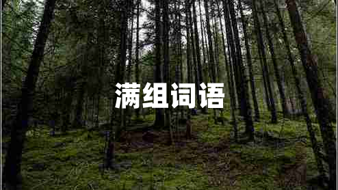 滿組詞語(yǔ) 滿組詞語(yǔ)