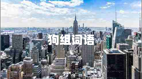 狗組詞語 狗組詞語