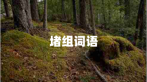 堵組詞語 堵組詞語