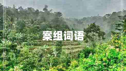 案組詞語 案組詞語