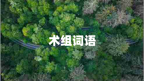 術(shù)組詞語(yǔ)