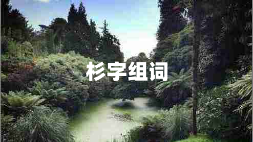 杉字組詞 杉字組詞