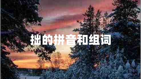 拙的拼音和組詞