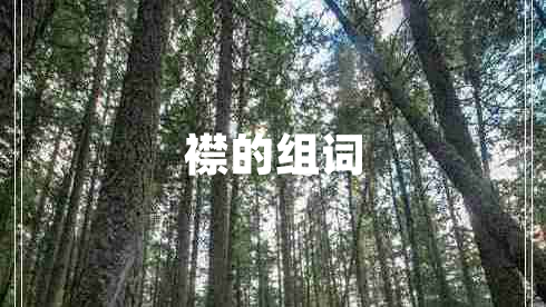 襟的組詞 襟的組詞