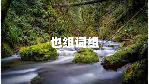 也組詞組 也組詞組