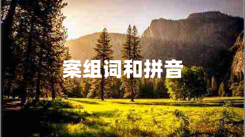 案組詞和拼音