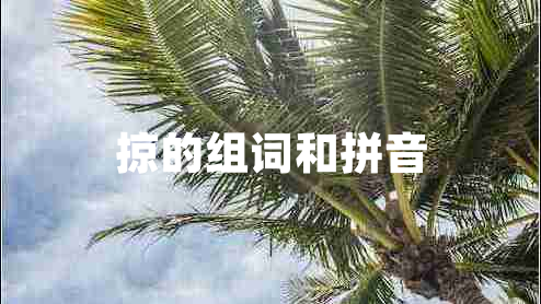 掠的組詞和拼音