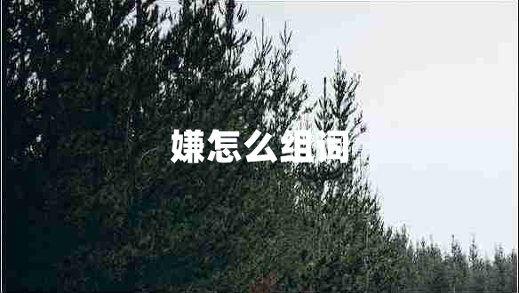 嫌怎么組詞