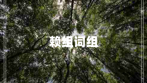 賴組詞組 賴組詞組