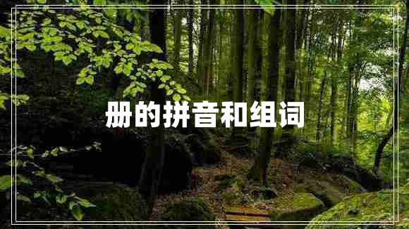 冊(cè)的拼音和組詞