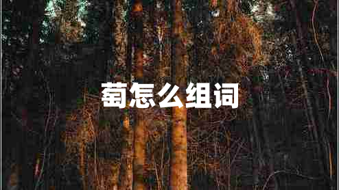 萄怎么組詞 萄怎么組詞