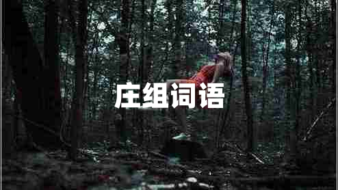 莊組詞語 莊組詞語