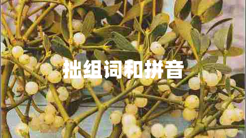 拙組詞和拼音 拙組詞和拼音