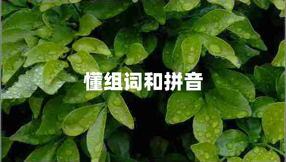 懂組詞和拼音 懂組詞和拼音