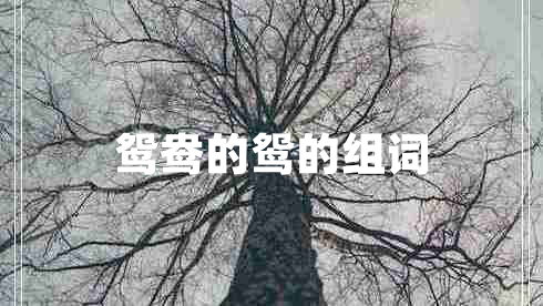 鴛鴦的鴛的組詞 鴛鴦的鴛的組詞