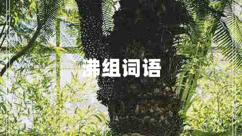 沸組詞語(yǔ) 沸組詞語(yǔ)
