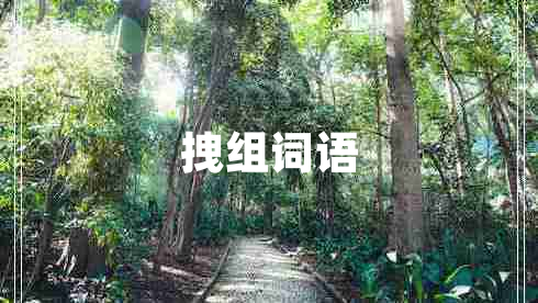 拽組詞語 拽組詞語