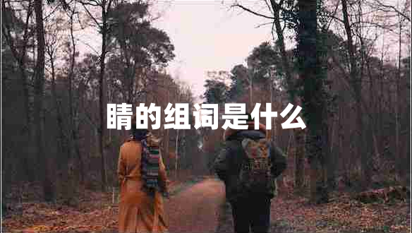 睛的組詞是什么 睛的組詞是什么