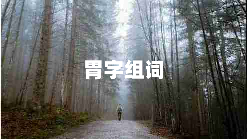 胃字組詞 胃字組詞