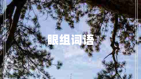 眼組詞語