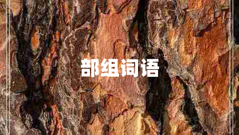 部組詞語 部組詞語
