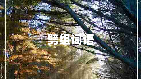 劈組詞語 劈組詞語