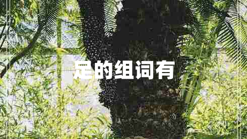 足的組詞有
