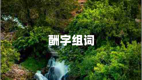 酬字組詞 酬字組詞