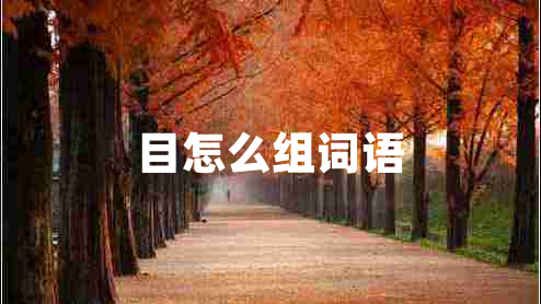目怎么組詞語(yǔ)