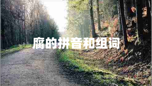 腐的拼音和組詞