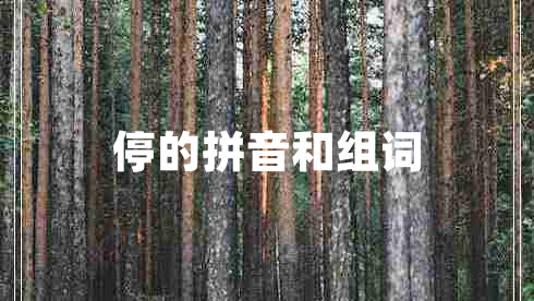 停的拼音和組詞
