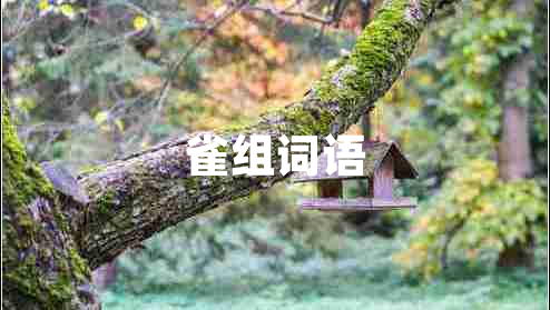 雀組詞語 雀組詞語