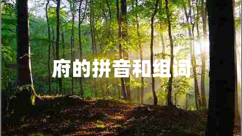 府的拼音和組詞