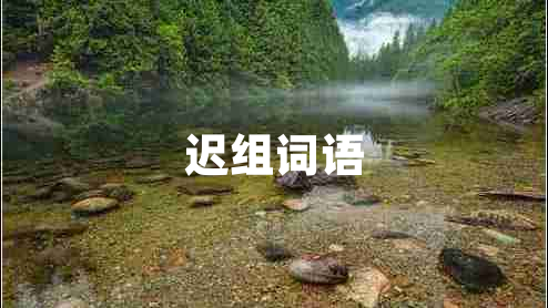 遲組詞語 遲組詞語