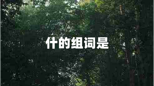 什的組詞是