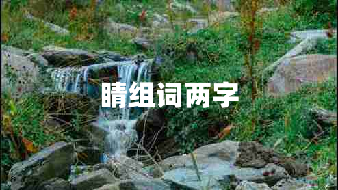 睛組詞兩字